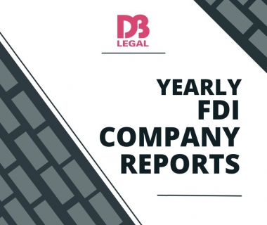 Basic compulsory reports relating to FDI Company in Vietnam
