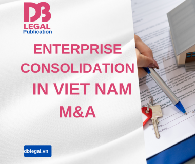 Procedures for Company Consolidation in Vietnam: A Detailed Guide and Legal Considerations