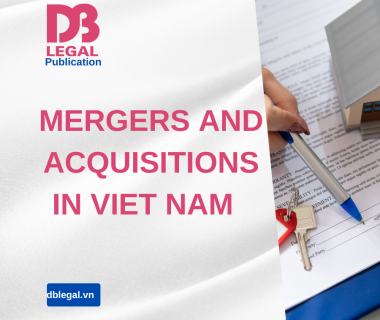 Company Merger Procedures in Vietnam: Detailed Guidance