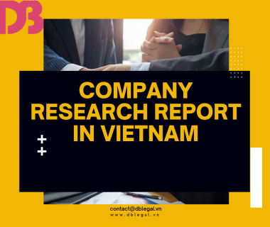 Company Research Report Services at DB Legal: Comprehensive Legal & Commercial Solutions