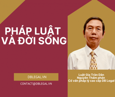 Ly Hôn Tại Việt Nam: Xu Hướng, Pháp Lý và Giải Quyết Tranh Chấp Phức Tạp