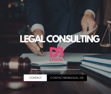 Assets for Capital Contribution under Vietnamese Law