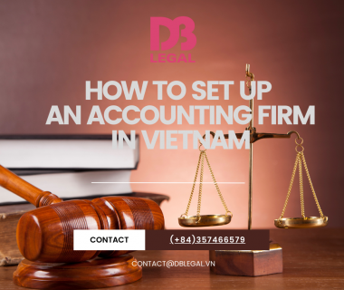 Investing in Accounting and Auditing Services in Vietnam: A Guide for Foreign Investors