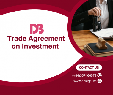 Understanding the WTO's Role in International Investment