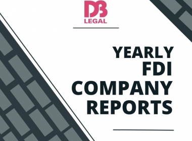 Basic compulsory reports relating to FDI Company in Vietnam