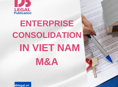 Procedures for Company Consolidation in Vietnam: A Detailed Guide and Legal Considerations