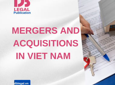 Company Merger Procedures in Vietnam: Detailed Guidance