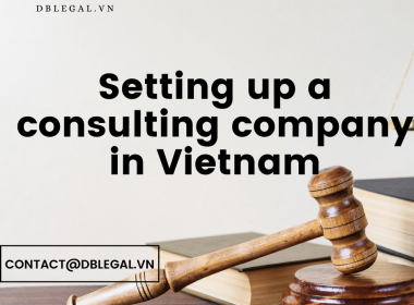 Setting up a consulting company in Vietnam
