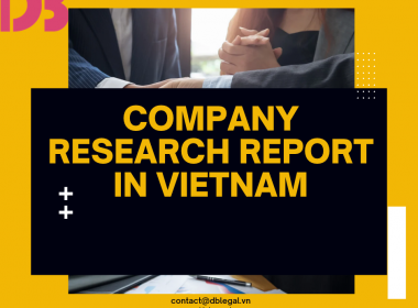 Company Research Report Services at DB Legal: Comprehensive Legal & Commercial Solutions