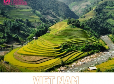2022 Foreign Investment in Vietnam