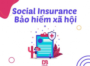 Chủ hộ kinh doanh, chủ DNTN, Giám đốc công ty TNHH MTV không nhận lương có bắt buộc tham gia BHXH?