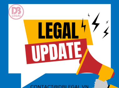 [2025] Decree 19/2025/ND-CP:  Ultimate Guide to Special Investment Procedures in Vietnam