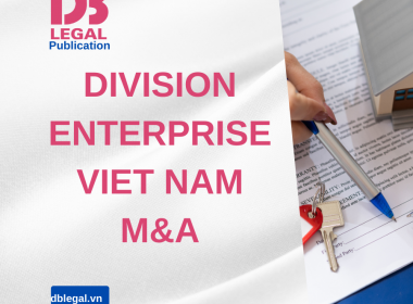 Company Division in Vietnam: A Detailed Guide