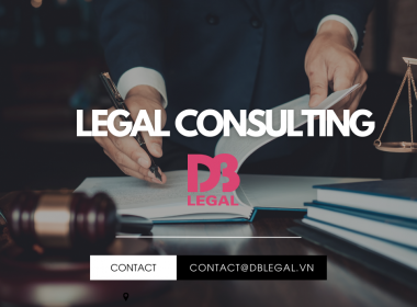 Assets for Capital Contribution under Vietnamese Law