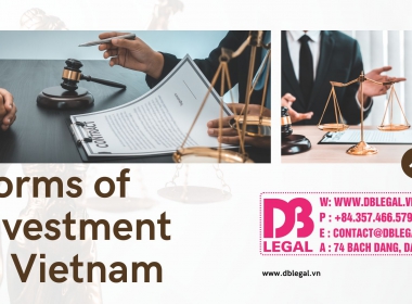 Forms Of Investment in Vietnam