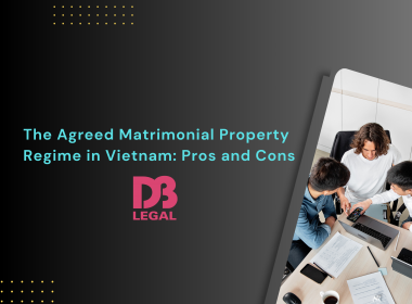 The Agreed Matrimonial Property Regime in Vietnam: Pros and Cons