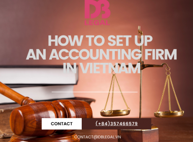 Investing in Accounting and Auditing Services in Vietnam: A Guide for Foreign Investors