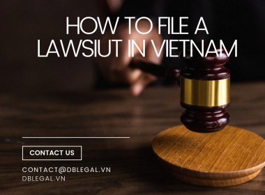 Legal Grounds and Statute of Limitations for Filing a Lawsuit in Vietnam: A Detailed Guide